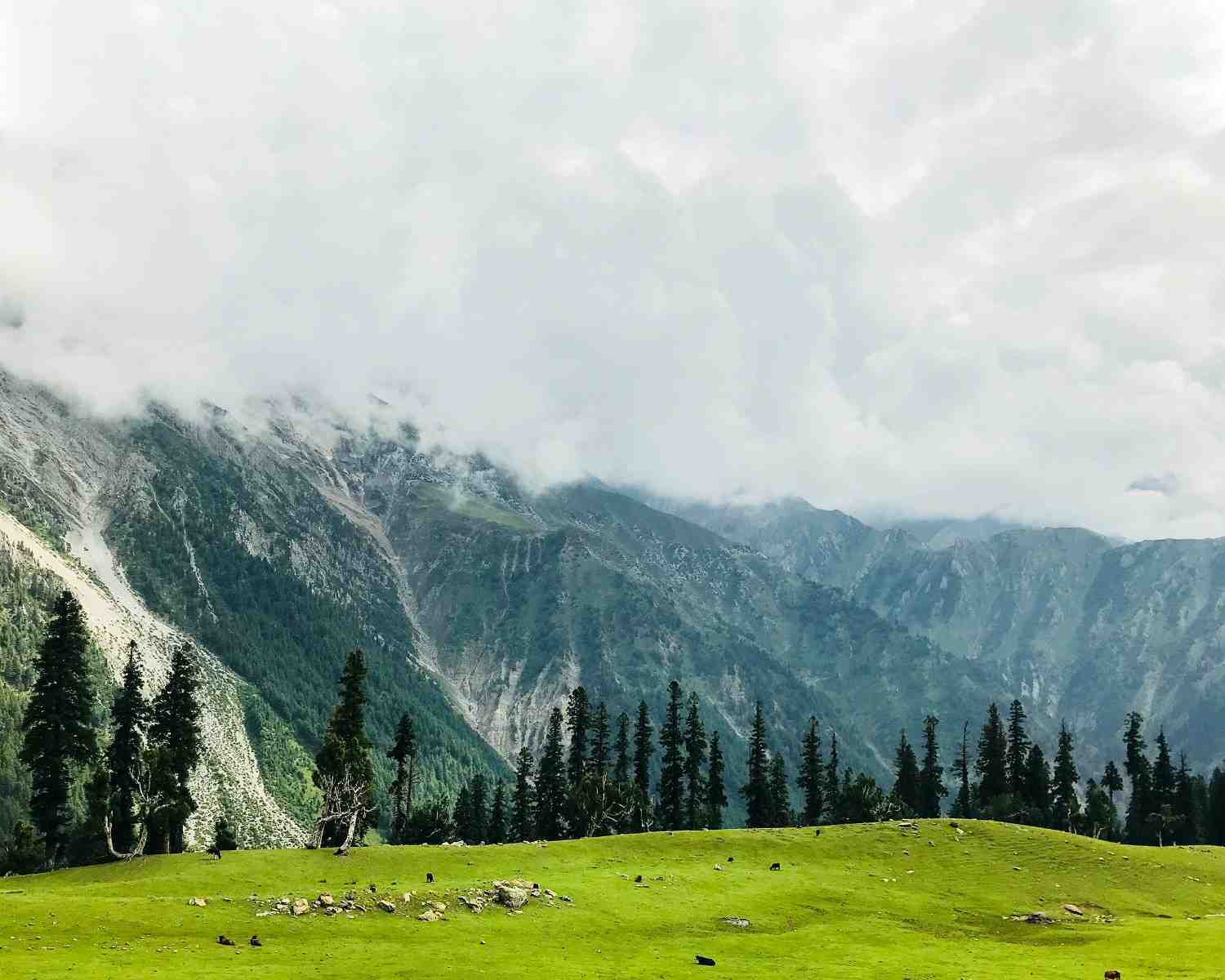 7-Day Kashmir Complete Tour