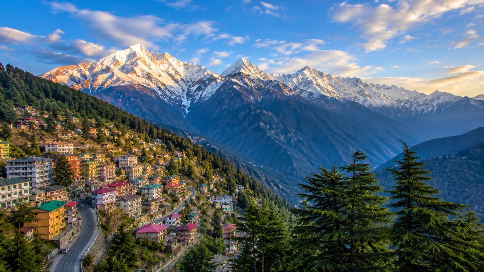 7-Day Shimla Manali Tour
